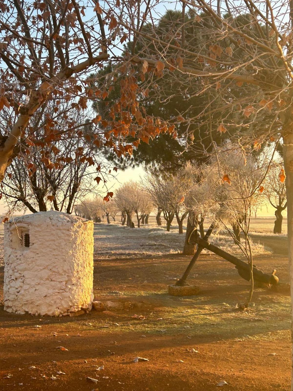 La Huerta De Don Fernando Βίλα Βιγιαρρομπλέδο Εξωτερικό φωτογραφία